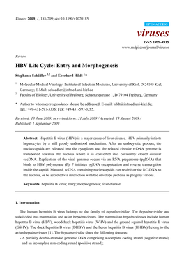 HBV Life Cycle: Entry and Morphogenesis