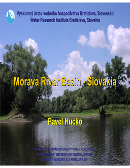 Hucko, Pavel Morava River Basin Budapest