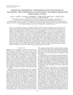 Odonatan Endophytic Oviposition from the Eocene of Patagonia: the Ichnogenus Paleoovoidus and Implications for Behavioral Stasis