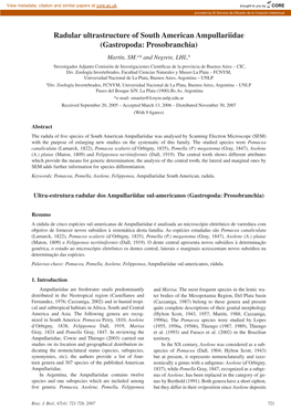 Radular Ultrastructure of South American Ampullariidae