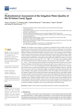 Hydrochemical Assessment of the Irrigation Water Quality of the El-Salam Canal, Egypt