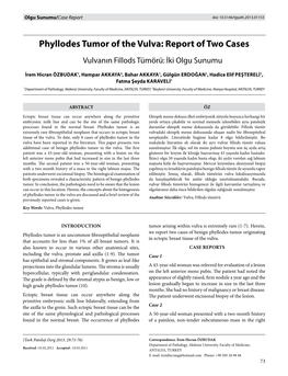 Phyllodes Tumor of the Vulva: Report of Two Cases Vulvanın Fillods Tümörü: İki Olgu Sunumu