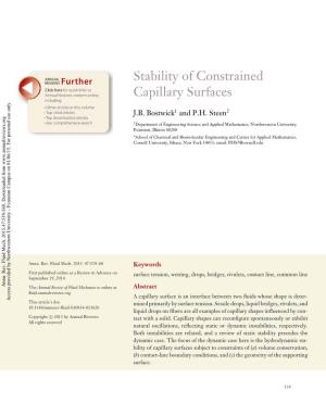 Stability of Constrained Capillary Surfaces