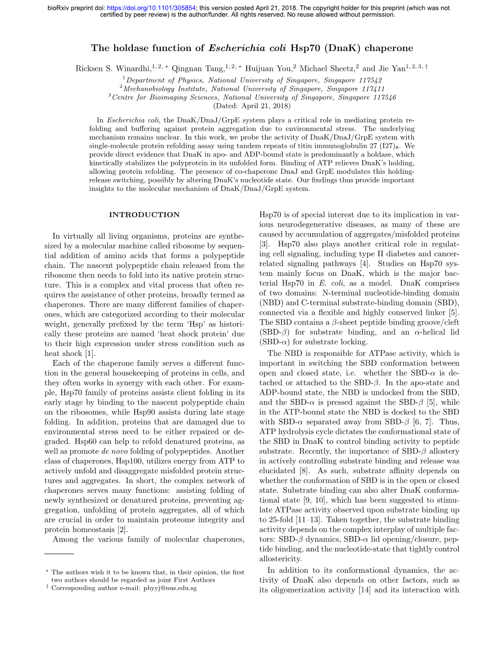 The Holdase Function of Escherichia Coli Hsp70 (Dnak) Chaperone