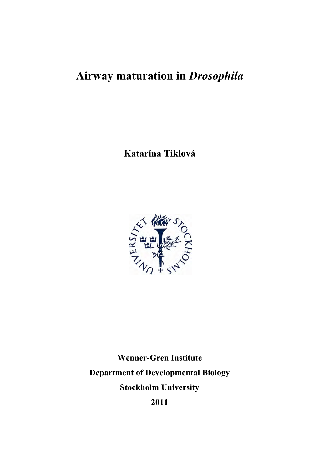 Airway Maturation in Drosophila