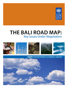 The Bali Road Map: Key Issues Under Negotiation
