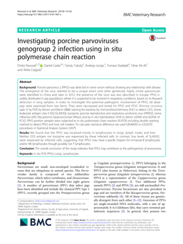 Investigating Porcine Parvoviruses Genogroup 2 Infection Using in Situ