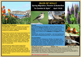 Isles of Scilly