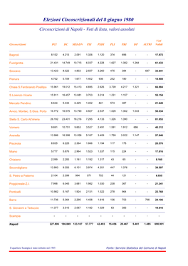 Elezioni Circoscrizionali Del 8 Giugno 1980