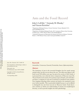 Ants and the Fossil Record