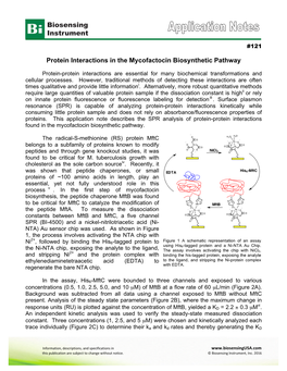 Protein Interactions in the Mycofactocin Biosynthetic Pathway