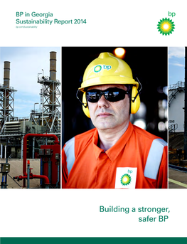 BP in Georgia Sustainability Report 2014 Pdf / 2.2 MB