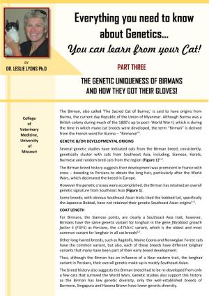 The Genetic Uniqueness of Birmans and How They Got Their Gloves!