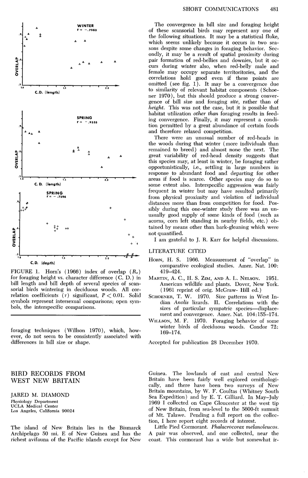 Bird Records from West New Britain