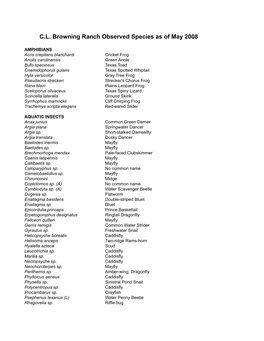 CLBR Species List