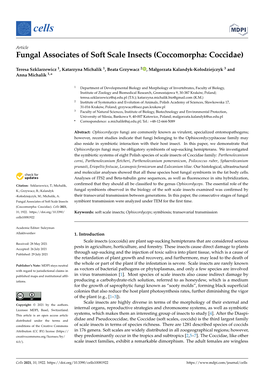 Fungal Associates of Soft Scale Insects (Coccomorpha: Coccidae)