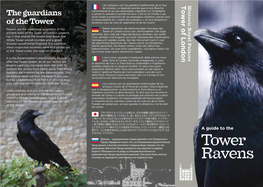 Tower Ravens Provoqueraittourde Londres.L’Écroulement De Londres