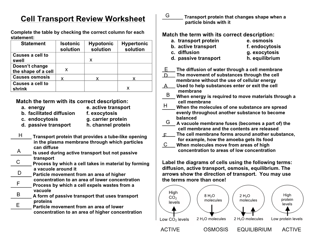 Cell Transport Review Worksheet Particle Binds with It