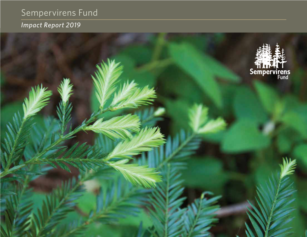 Sempervirens Fund 2019 Impact Report