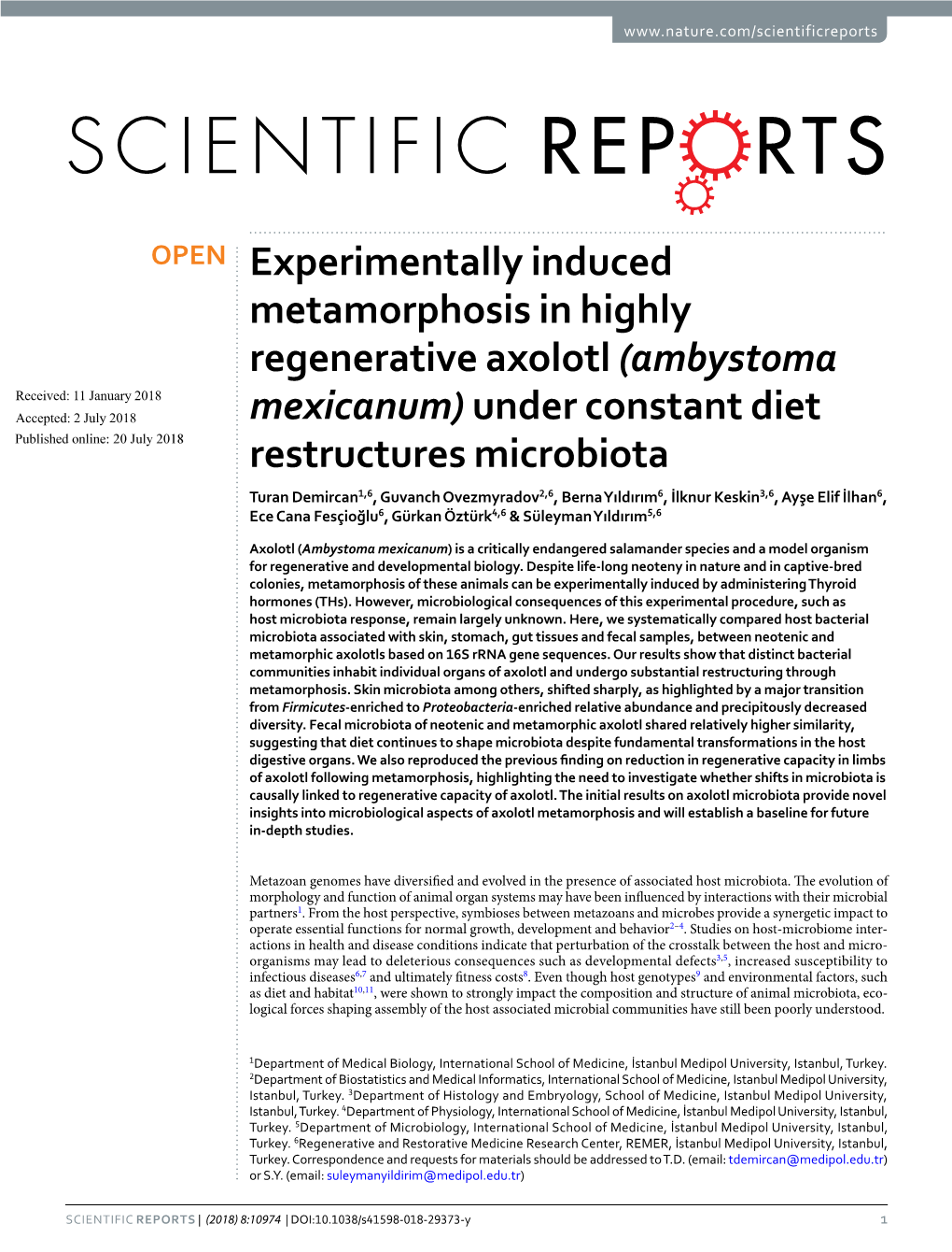 Experimentally Induced Metamorphosis in Highly