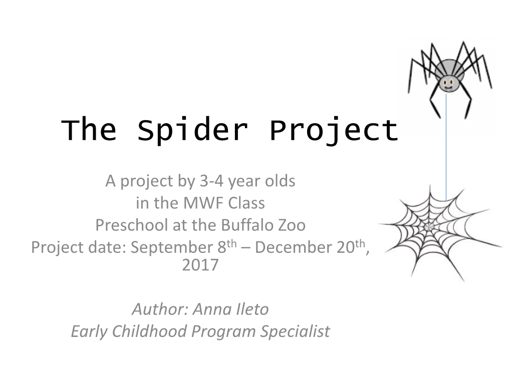 The Spider Project