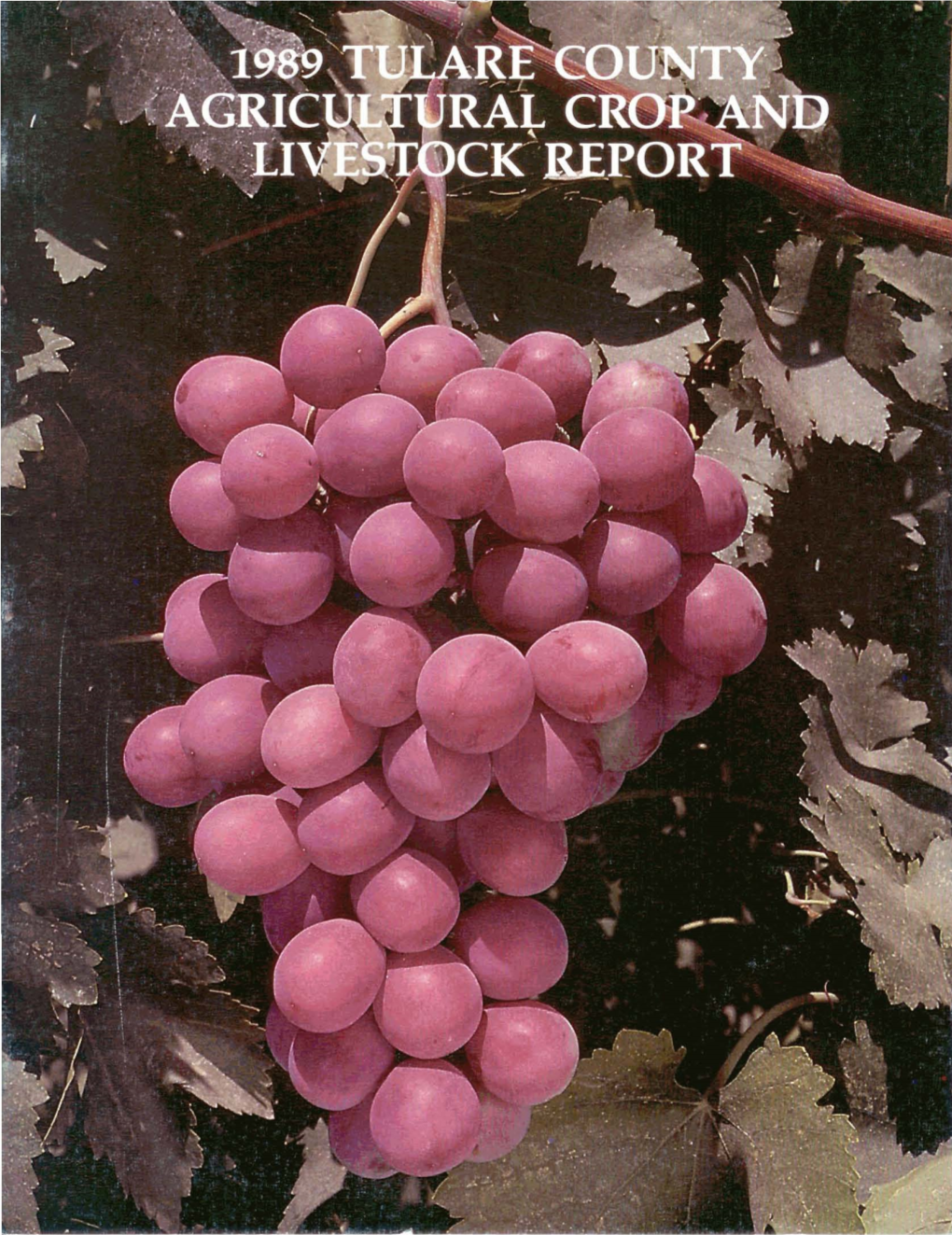 1989 Crop Report