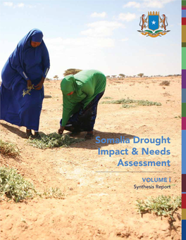 Somalia Drought Impact & Needs Assessment