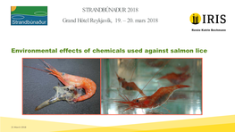 Environmental Effects of Chemicals Used Against Salmon Lice