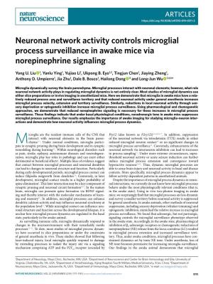 Neuronal Network Activity Controls Microglial Process Surveillance in Awake Mice Via Norepinephrine Signaling