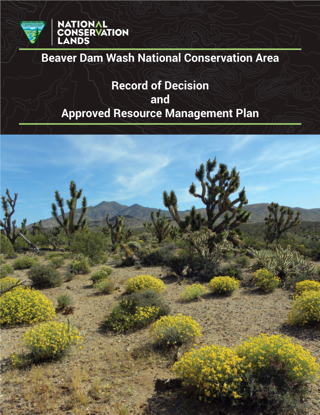 Beaver Dam Wash NCA ROD and Approved