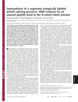 NMR Evidence for an Unusual Peptide Bond at the N-Extein–Intein Junction