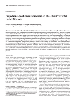 Projection-Specific Neuromodulation of Medial Prefrontal Cortex Neurons