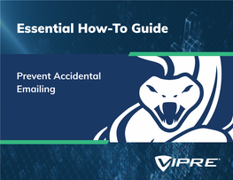 Prevent Accidental Emailing TABLE of CONTENTS
