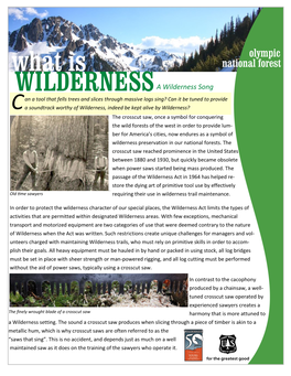 What Is WILDERNESS