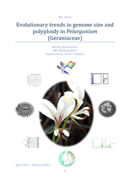 Msc Thesis Evolutionary Trends in Genome Size and Polyploidy in Pelargonium (Geraniaceae)