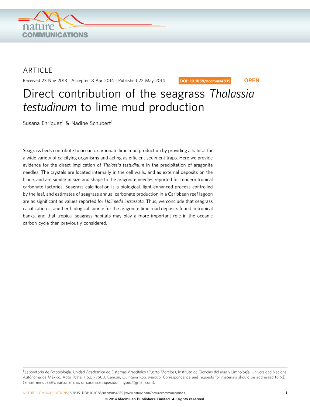 Thalassia Testudinum to Lime Mud Production