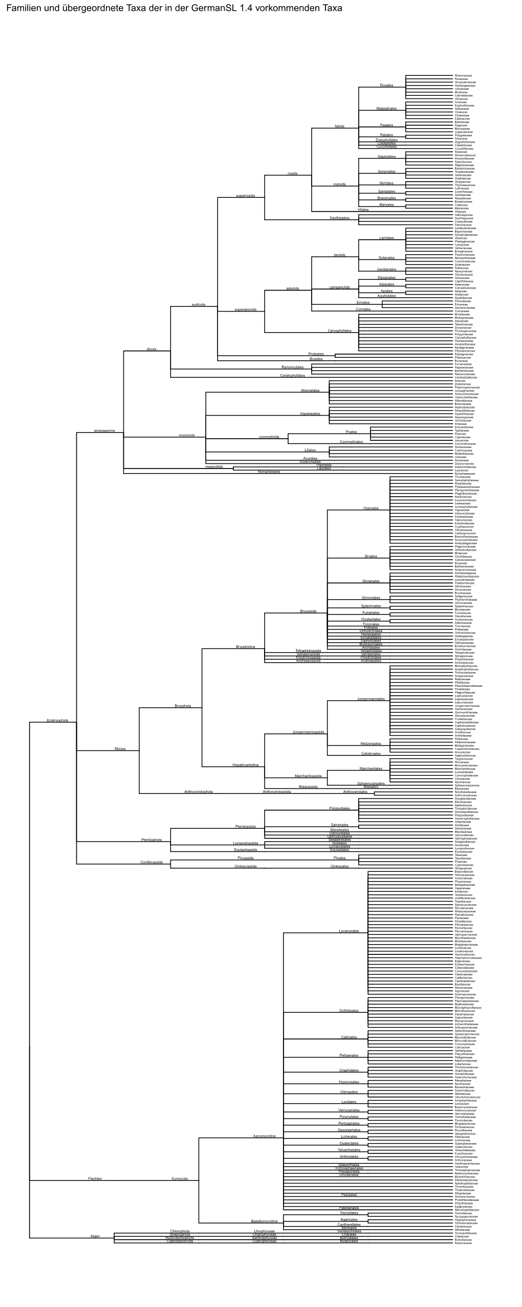 R Graphics Output