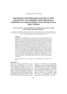 Reproduction and Feeding Habits of the River Catfish Eutropiichthys Vacha