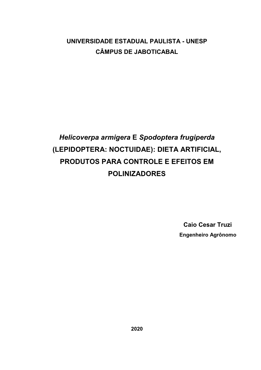 Helicoverpa Armigera E Spodoptera Frugiperda (LEPIDOPTERA: NOCTUIDAE): DIETA ARTIFICIAL, PRODUTOS PARA CONTROLE E EFEITOS EM POLINIZADORES