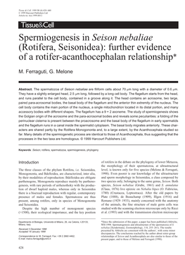 Spermiogenesis in Seison Nebaliae (Rotifera, Seisonidea): Further Evidence of a Rotifer-Acanthocephalan Relationship*