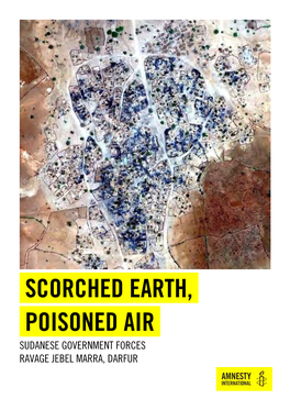 Scorched Earth, Poisoned Air Sudanese Government Forces Ravage Jebel Marra, Darfur