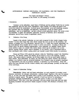 ANTHURIDEAN ISOPODS (CRUSTACEA) of CALIFORNIA and the TEMPERATE NORTHEAST PACIFIC Don Cadien and Richard C