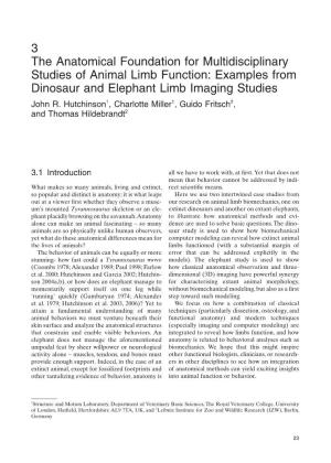 Examples from Dinosaur and Elephant Limb Imaging Studies John R