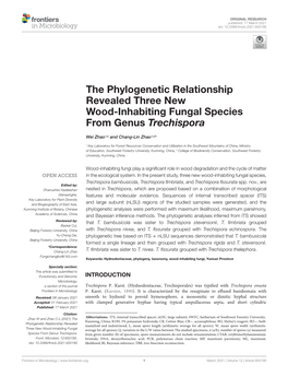 The Phylogenetic Relationship Revealed Three New Wood-Inhabiting Fungal Species from Genus Trechispora