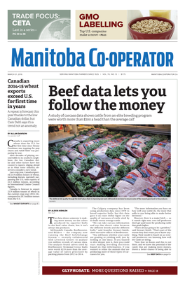 Beef Data Lets You Follow the Money