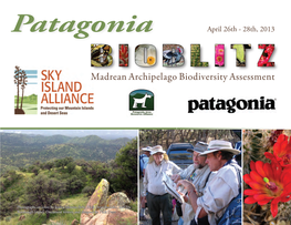 Patagonia Bioblitz: Madrean Archipelago Biodiversity Assessment