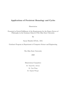 Applications of Persistent Homology and Cycles