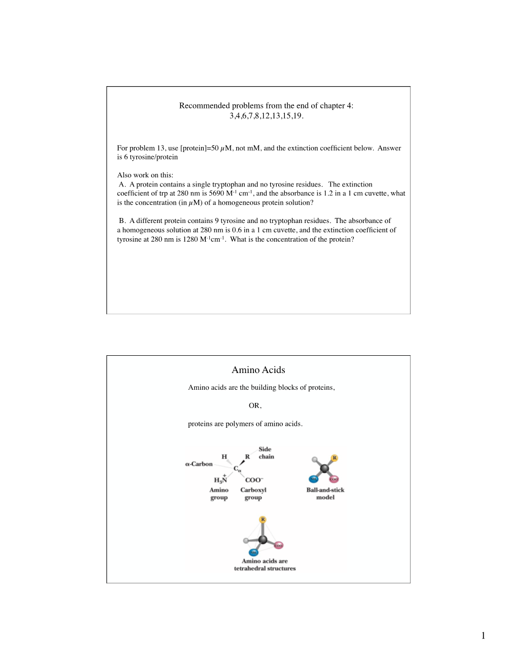 1 Amino Acids