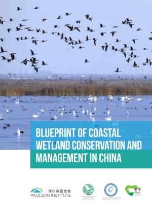 Blueprint of Coastal Wetland Conservation and Management in China