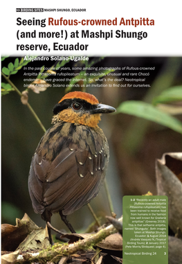 Neotropical Birding 24 3 >> BIRDING SITES MASHPI SHUNGO, ECUADOR